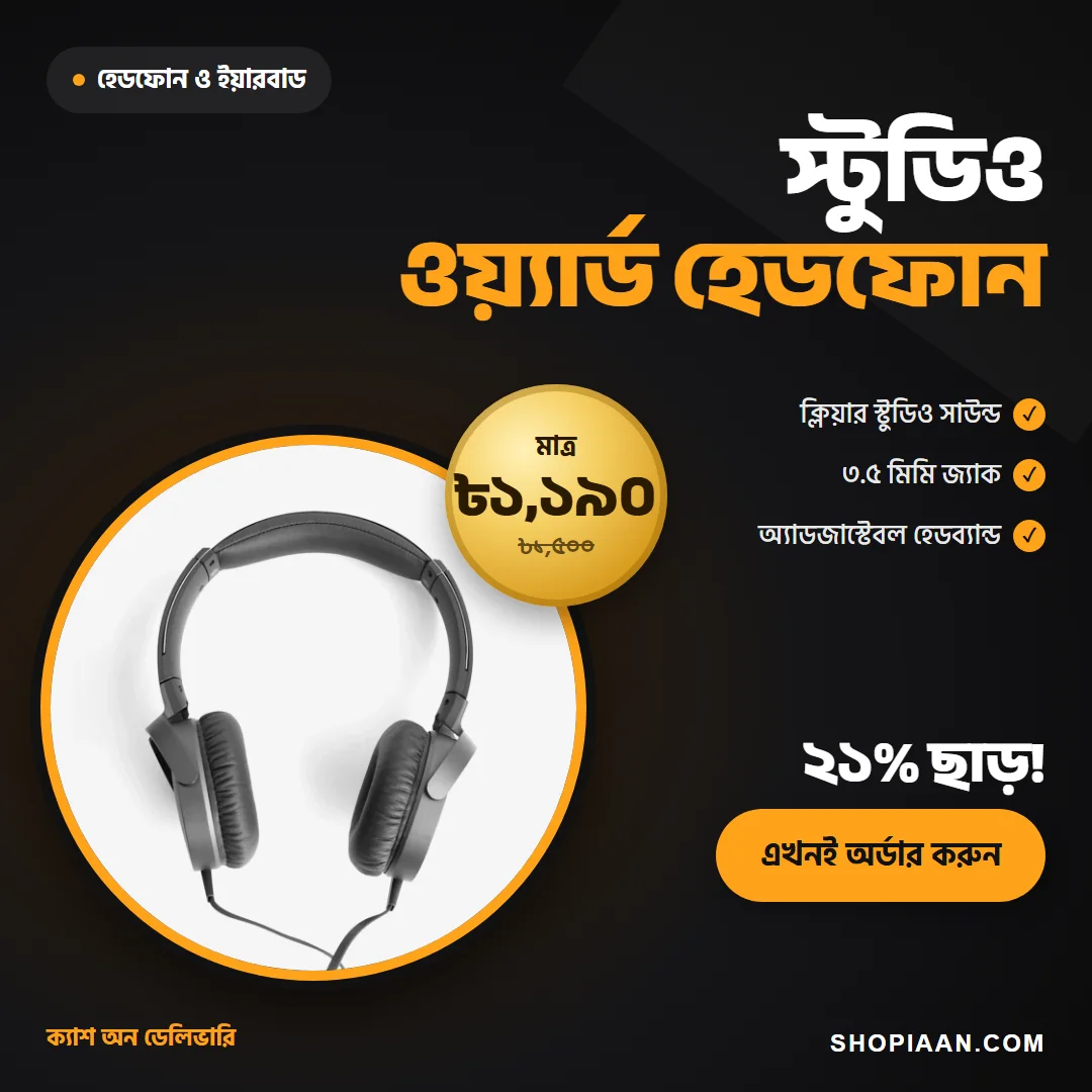স্টুডিও ওয়্যার্ড হেডফোন